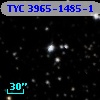 TYC 3965-1485-1