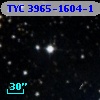 TYC 3965-1604-1
