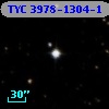 TYC 3978-1304-1
