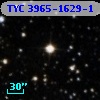 TYC 3965-1629-1