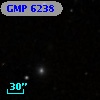 GMP 6238