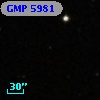 GMP 5981