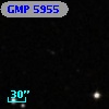 GMP 5955