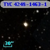 TYC 4248-1463-1
