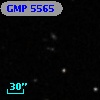 GMP 5565