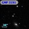GMP 5591