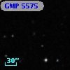 GMP 5575