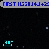 FIRST J125014.1+291521