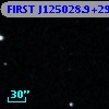FIRST J125028.9+294146