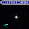 FIRST J125102.1+292855