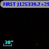 FIRST J125338.7+293844