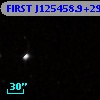FIRST J125458.9+292619