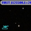 FIRST J125500.1+285013