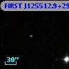 FIRST J125512.9+290041