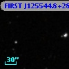 FIRST J125544.8+283626