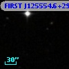 FIRST J125554.6+290559