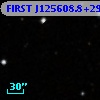 FIRST J125608.8+291409