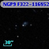 NGP9 F322-1168527