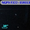 NGP9 F322-1585536