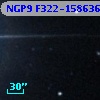 NGP9 F322-1586360