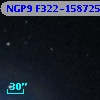 NGP9 F322-1587259