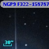 NGP9 F322-1587877