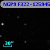 NGP9 F322-1259459