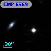 GMP 6569