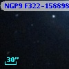 NGP9 F322-1588983