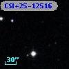 CSI+25-12516