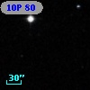 10P  80
