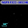 NGP9 F322-1652460