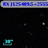 RX J125409.5+255530