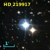 HD 219917