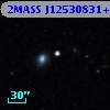 2MASS J12530831+2516511