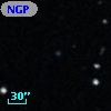 NGP9 F379-0209578