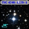TYC 4248-1229-1
