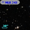 ** MLR   243