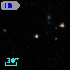 LB    17