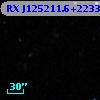 RX J125211.6+223315