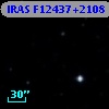 IRAS F12437+2108