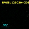 NVSS J125030+203412