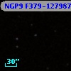 NGP9 F379-1279875