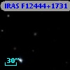 IRAS F12444+1731
