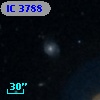 IC 3788
