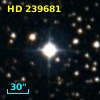 HD 239681