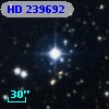 HD 239692