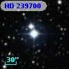 HD 239700