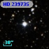 HD 239735