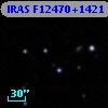 IRAS F12470+1421